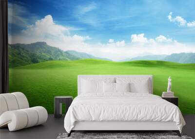 field of grass in mountain Wall mural