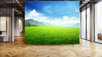 field of grass in mountain Wall mural