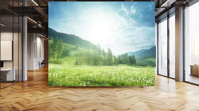 field of spring dandelions in Dolomites, South Tyrol, Italy Wall mural