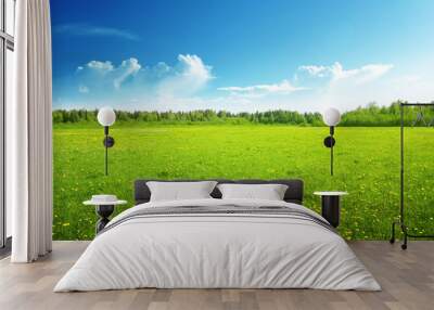 field of spring flowers and perfect sky Wall mural