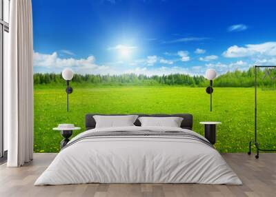 field of spring flowers and perfect sky Wall mural