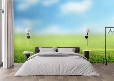 field of spring grass (shallow DOF) Wall mural