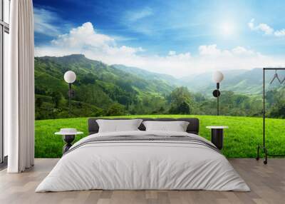 field of spring grass and mountain Wall mural