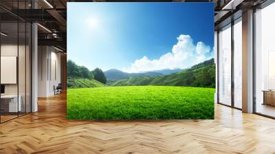 field of spring grass and mountain Wall mural