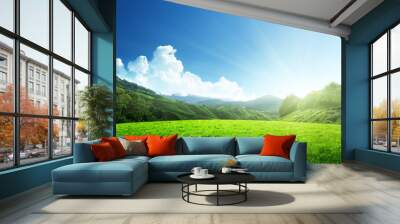 field of spring grass and mountain Wall mural