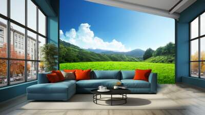 field of spring grass and mountain Wall mural