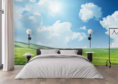 field of spring grass and sunny day Wall mural