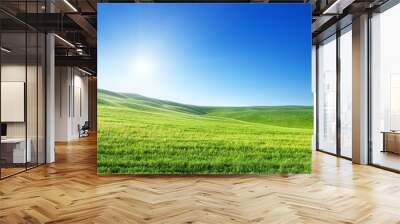 field of spring grass and sunny day Wall mural