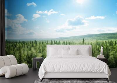 forest in sunny day Wall mural