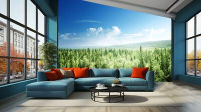 forest in sunny day Wall mural