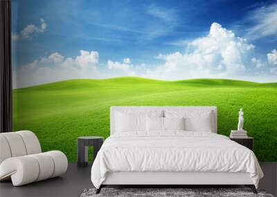 green field and blue sky Wall mural