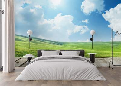 Green field and wood floor Wall mural