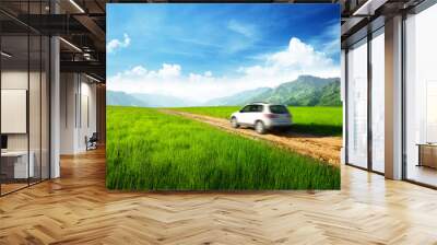 ground road and blurred car Wall mural