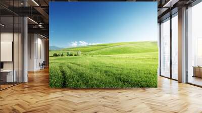 hills in sunny day Tuscany, Italy Wall mural