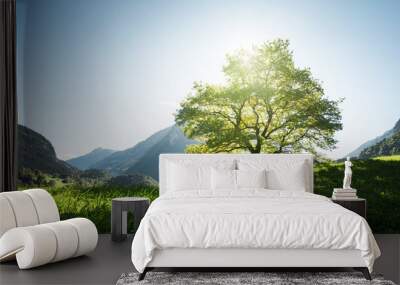 idyllic landscape in the alps, tree, grass and mountains, switzerland Wall mural