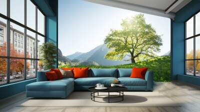 Idyllic landscape in the Alps, tree, grass and mountains, Switzerland Wall mural