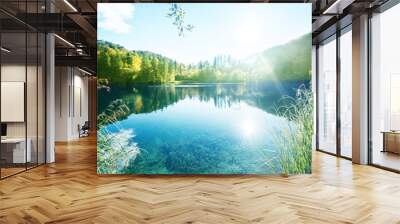 lake in forest, croatia, plitvice Wall mural