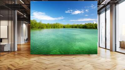 mangrove trees in caribbean sea Wall mural