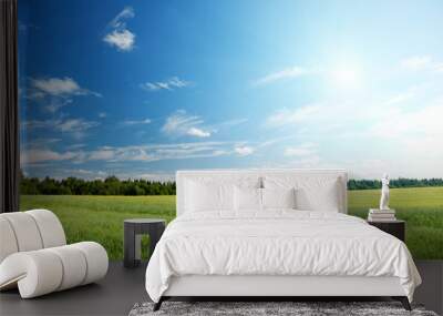 oat field and sunny sky Wall mural