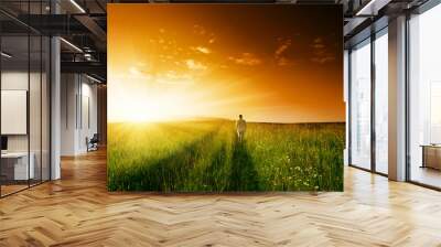 one man and field of summer grass Wall mural