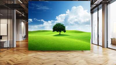 one tree and perfect grass field Wall mural