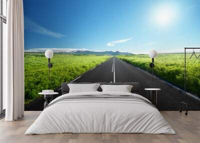 road in summer Iceland Wall mural