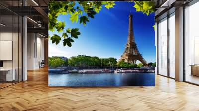 seine in paris with eiffel tower Wall mural