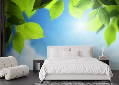 spring sunny background Wall mural