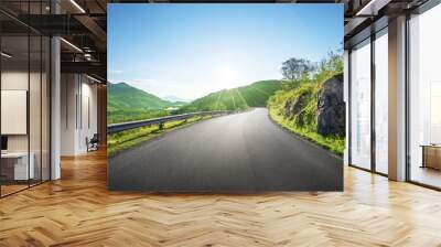 summer road in mountain, Lofoten islands, Norway Wall mural