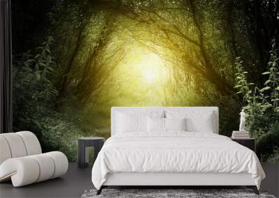 way in deep forest Wall mural