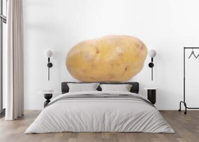 Potato isolated on white background Wall mural