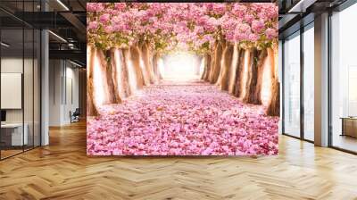 Falling petal over the romantic tunnel of pink flower trees / Romantic Blossom tree over nature background in Spring season / flowers Background Wall mural