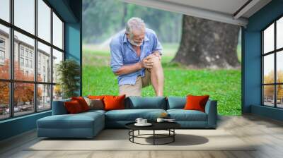 Senior man sitting or flop falling  in autumn park and having knee pain. kneel Arthritis pain concept. Wall mural