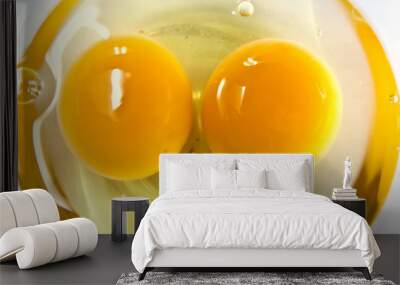 Yolk in glass bowl Wall mural