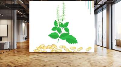 Holy Basil with Vitamin A, B1 and B2 Wall mural