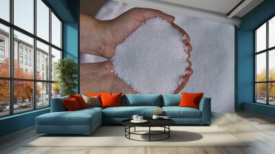 Ammonium sulfate fertilizer,21-0-0 ,  fertilizer in farmer hand. Wall mural