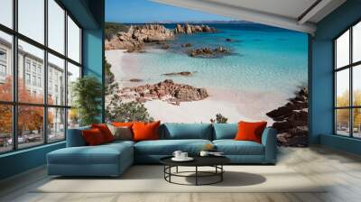 Protected beach at Budelli, Maddelenas, Sardinia, Italy Wall mural