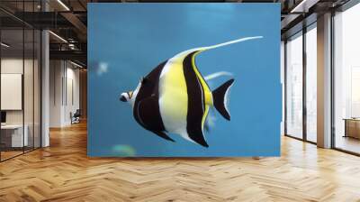 Idofish Wall mural