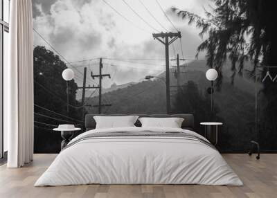 telephone wires Wall mural