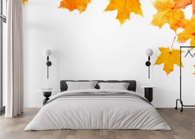 Autumn banner with place for text. Composition of Maple leaves on white. Wall mural