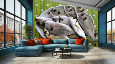 Raw fish on plate Wall mural