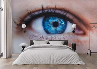 close up of a female blue eye with long black eyelashes Wall mural