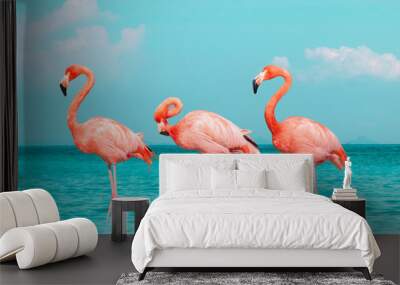 Vintage and retro collage photo of  flamingos standing in clear blue sea with sunny sky summer season with cloud. Wall mural