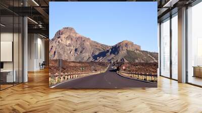 beautiful nature of the Canary Islands, Tenerife island Wall mural