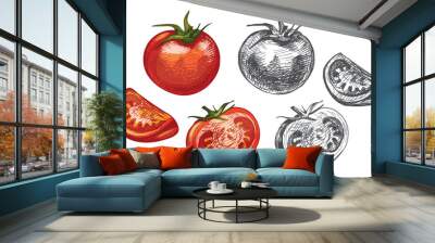 Tomato whole and slice isolated on white background. Vector vintage hatching Wall mural