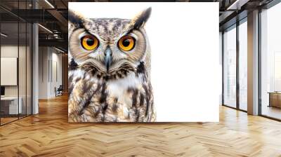 A wise owl with large, round eyes and detailed plumage, perched confidently against a stark white background Wall mural