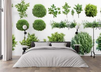 Green bushes and shrubs, isolated on white background Wall mural