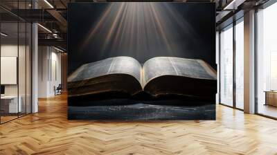 Open bible on a dark background with rays of light and smoke Wall mural