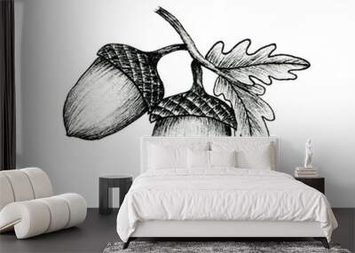 acorns on a branch isolated on white, black and white ink drawing of autumn acorns and oak leaves, vintage autumnal line art illustration, botanical black sketch Wall mural