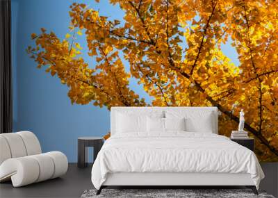 autumn background with yellow leaves and blue sky, selective focus technique  Wall mural